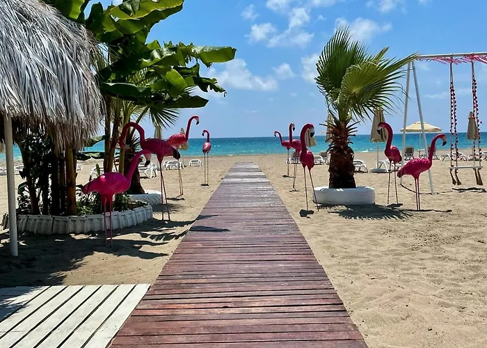 Sa Apartments! 2bd Flat 200m To The Apartament Alanya