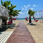 Sa Apartments! 2bd Flat 200m To The Lejlighed Alanya